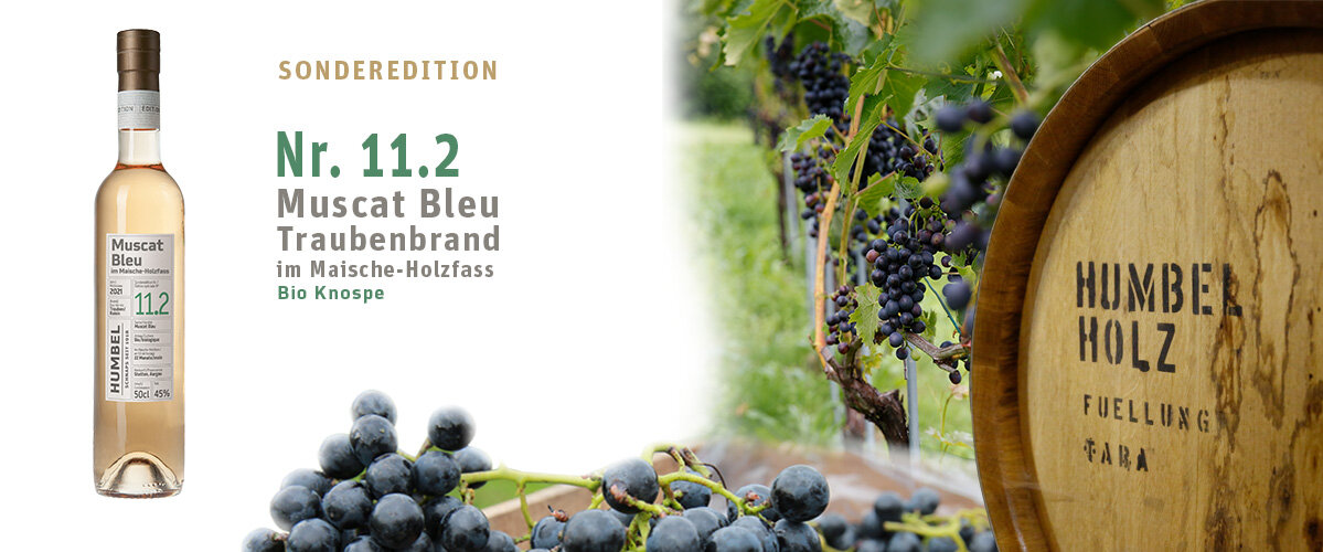 Webshop_Banner_2025_Nr. 11.2.jpg